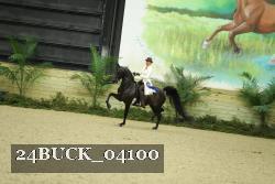 24BUCK_04100 proof