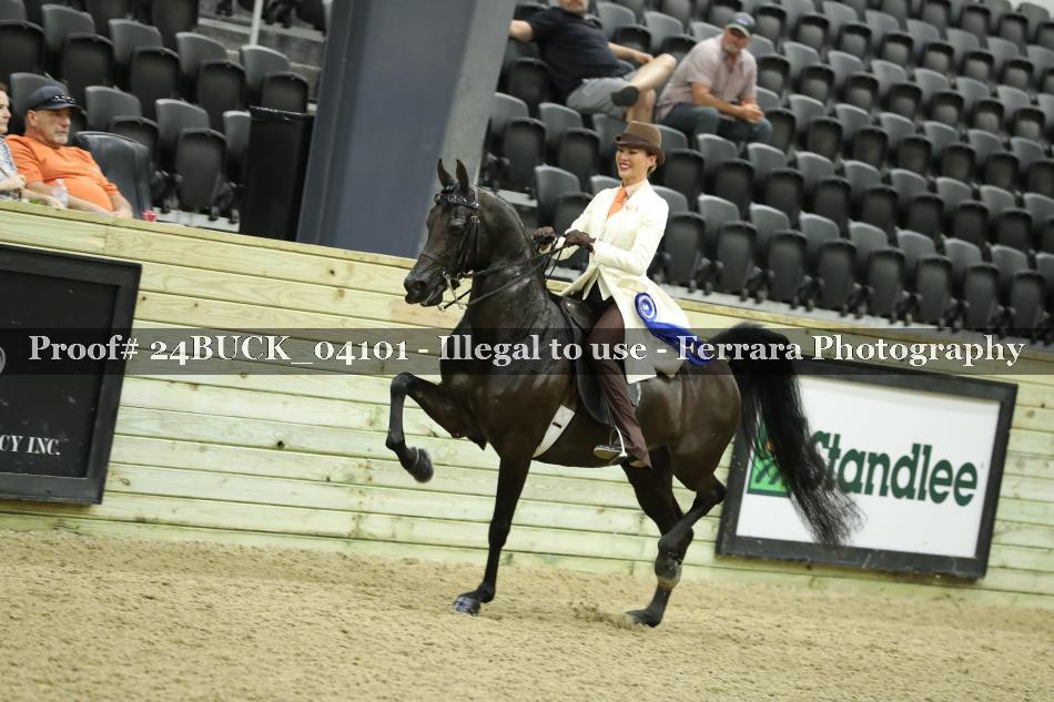 Proof 24BUCK_04101