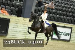 24BUCK_04101 proof