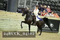 24BUCK_04102 proof