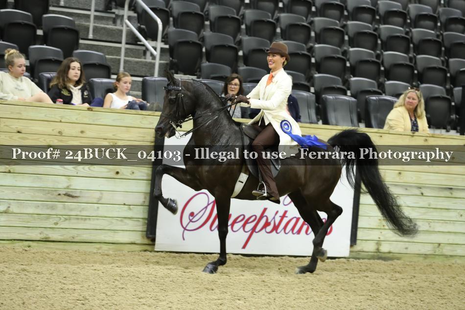 Proof 24BUCK_04103