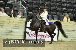 24BUCK_04103 proof
