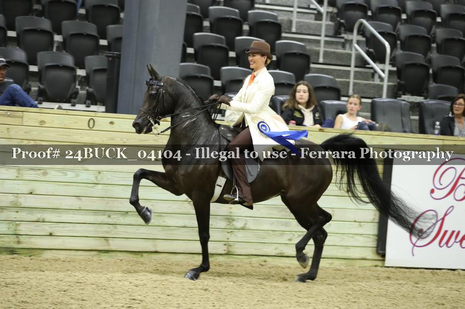 Proof 24BUCK_04104