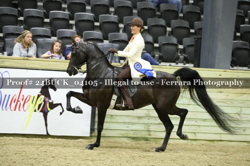 Proof 24BUCK_04105