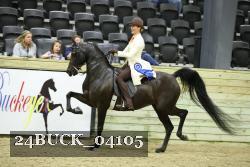24BUCK_04105 proof