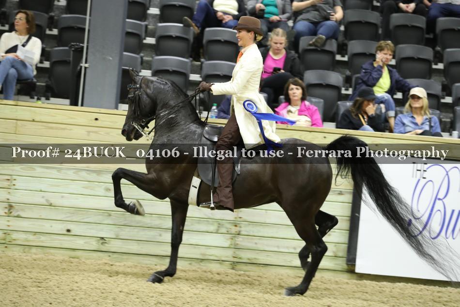 Proof 24BUCK_04106