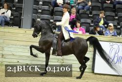 24BUCK_04106 proof