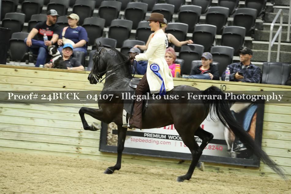Proof 24BUCK_04107