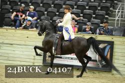 24BUCK_04107 proof