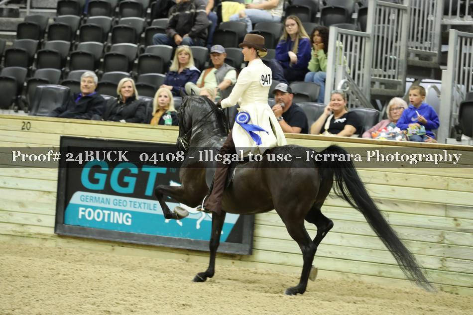 Proof 24BUCK_04108