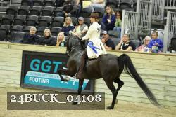 24BUCK_04108 proof