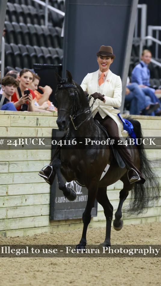 Proof 24BUCK_04116