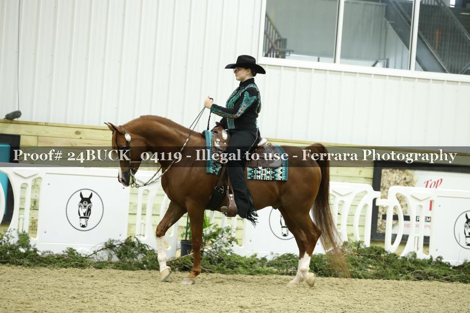 Proof 24BUCK_04119