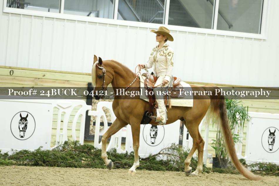 Proof 24BUCK_04121