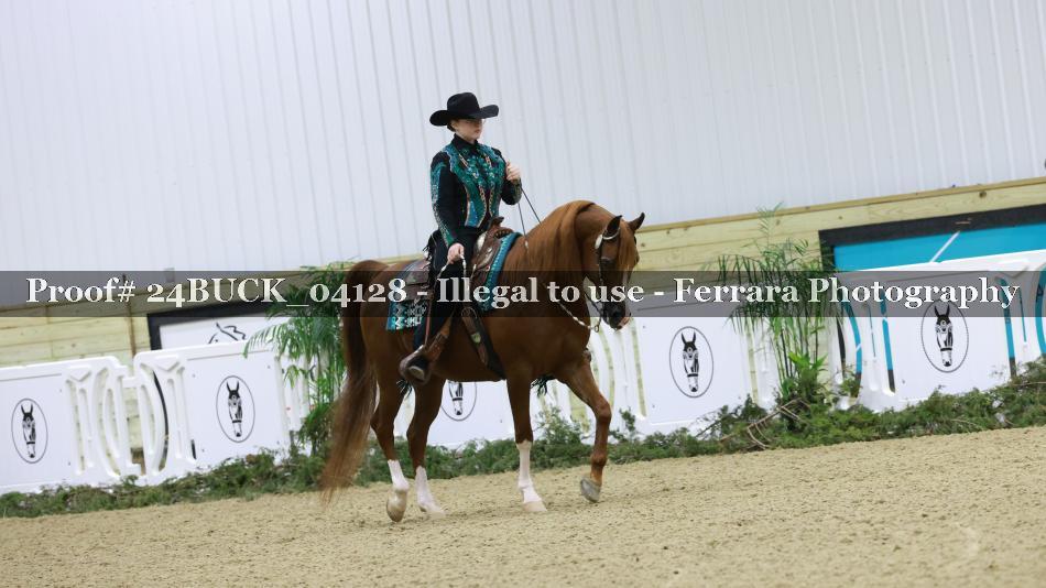 Proof 24BUCK_04128