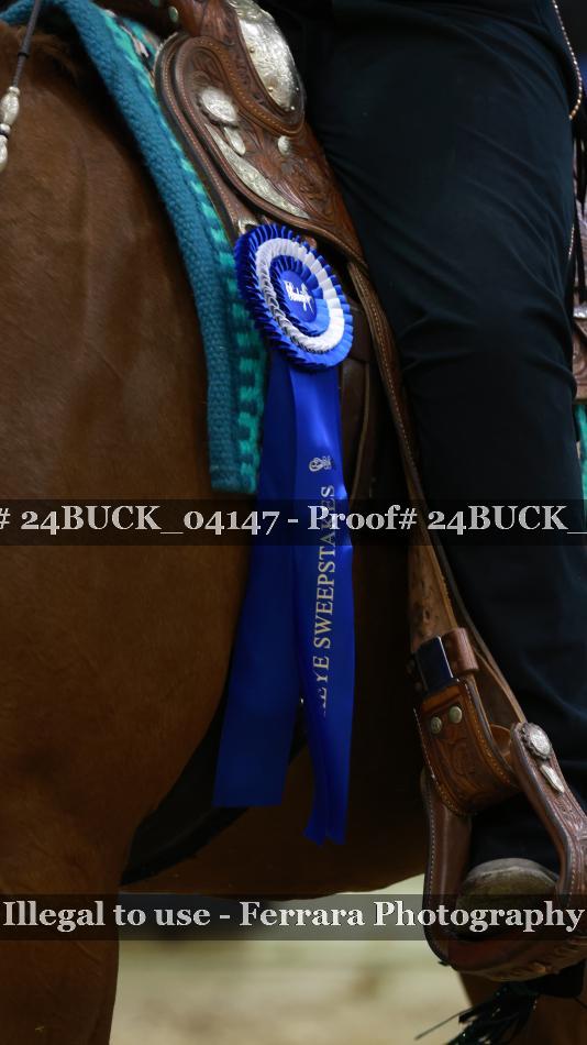 Proof 24BUCK_04147