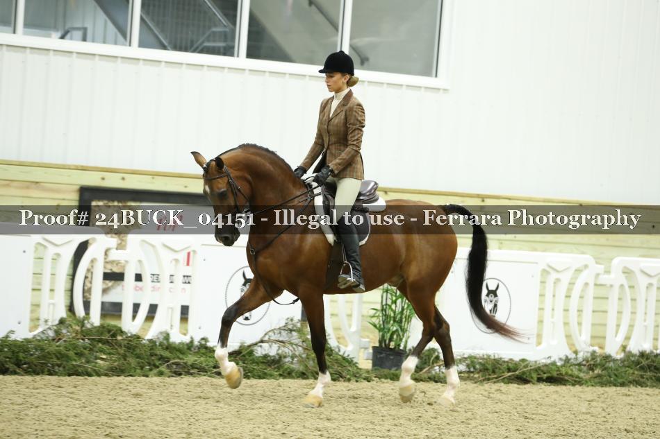 Proof 24BUCK_04151
