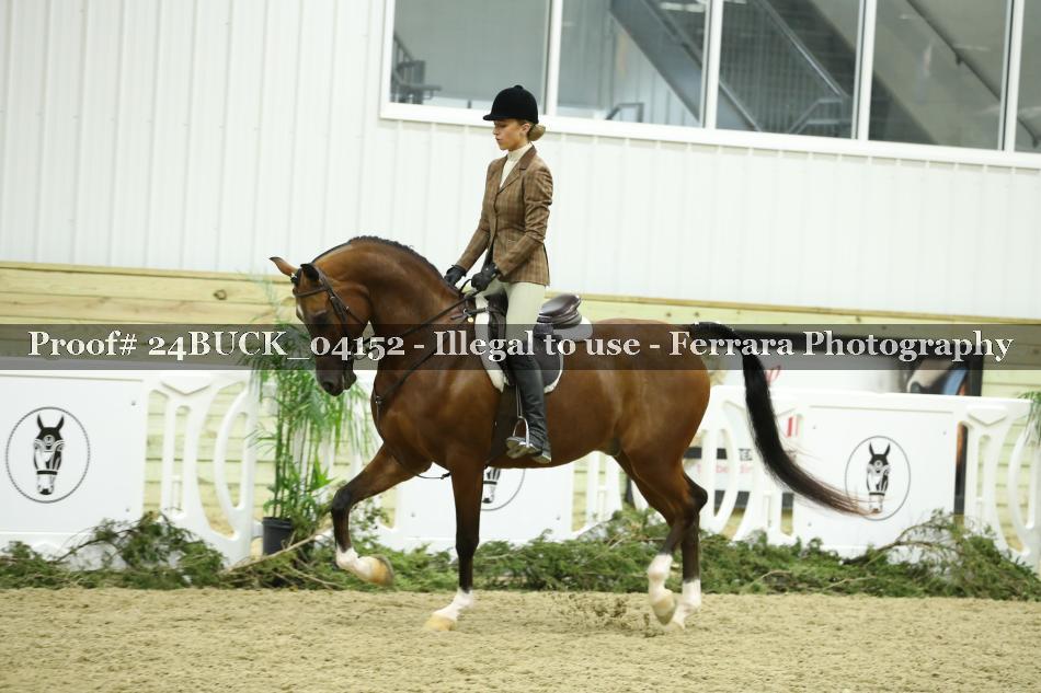 Proof 24BUCK_04152