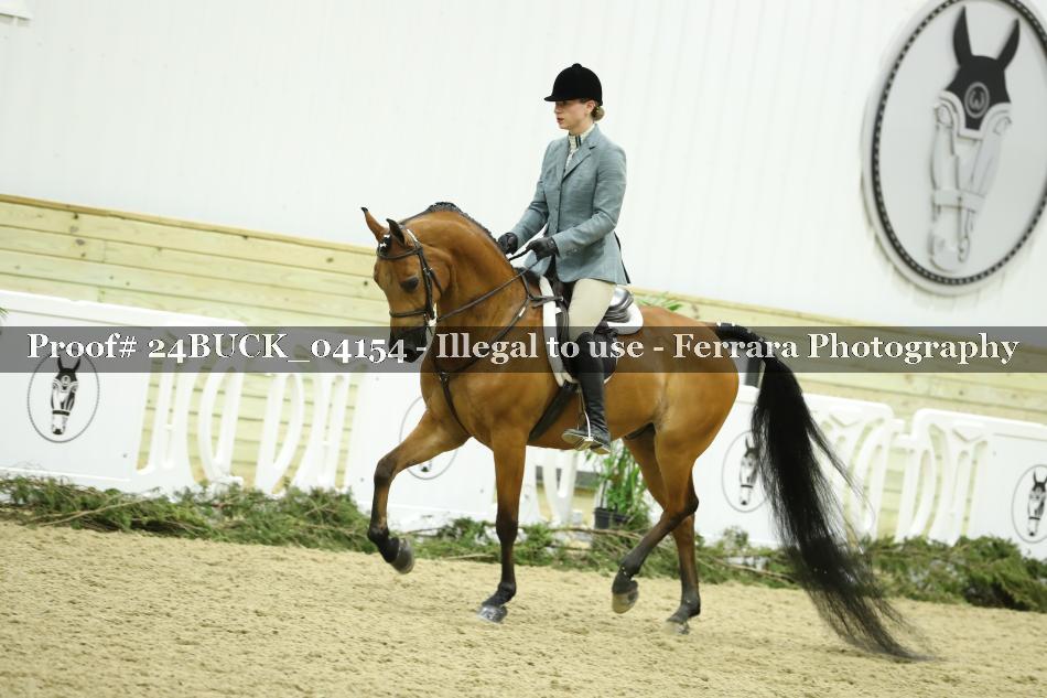 Proof 24BUCK_04154