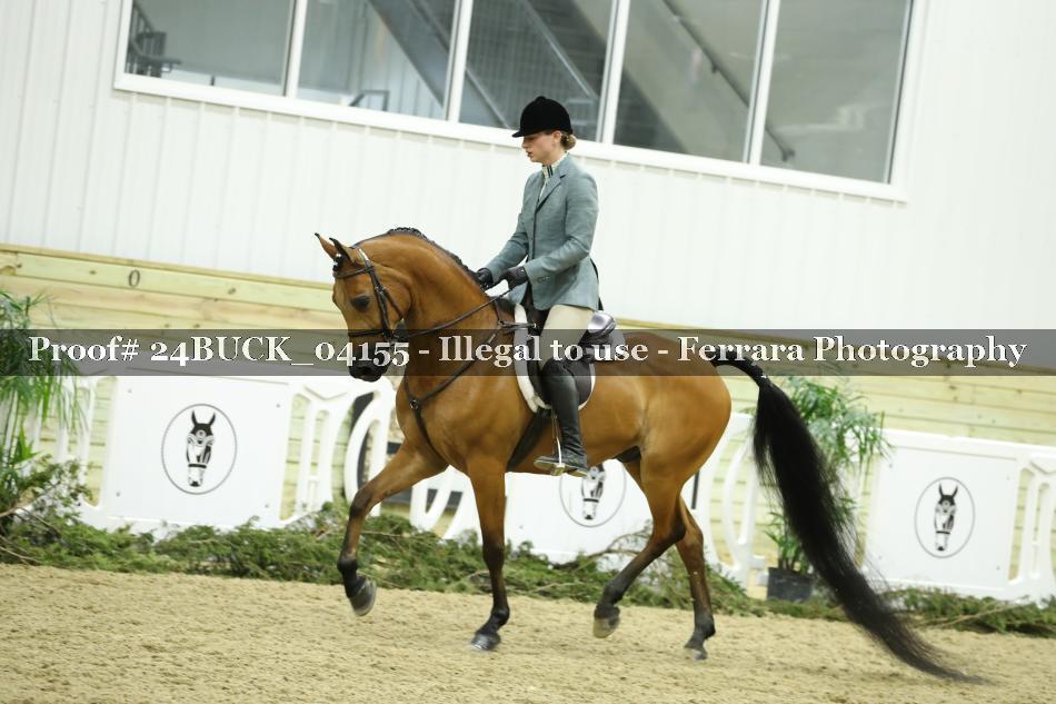 Proof 24BUCK_04155