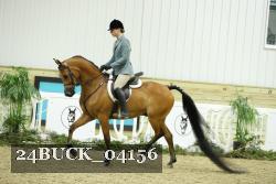 24BUCK_04156 proof