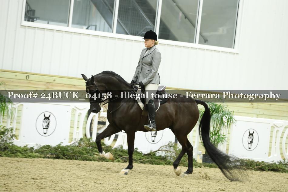 Proof 24BUCK_04158