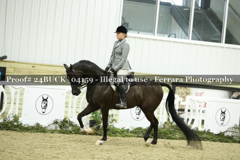 Proof 24BUCK_04159