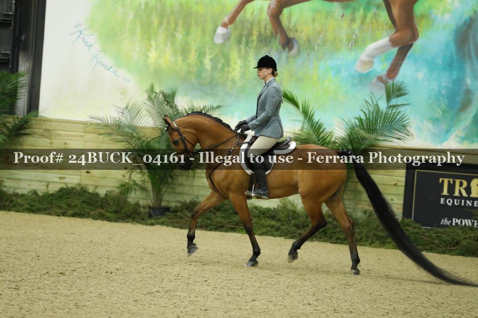 Proof 24BUCK_04161