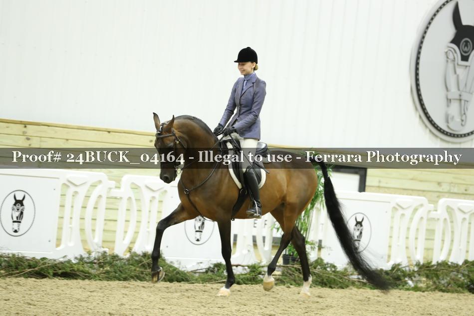 Proof 24BUCK_04164
