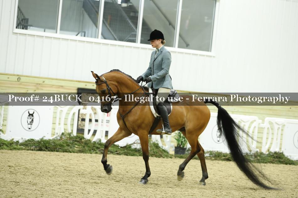 Proof 24BUCK_04167