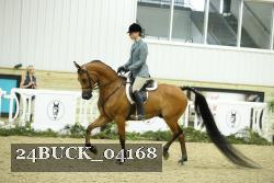 24BUCK_04168 proof