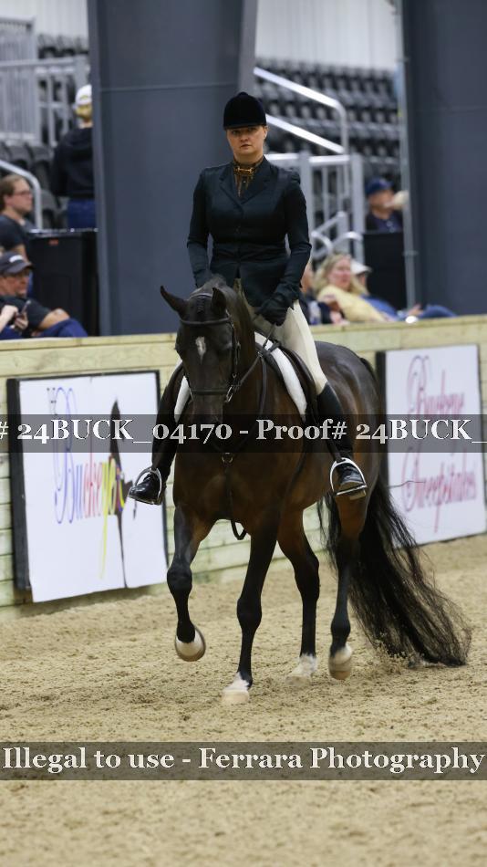 Proof 24BUCK_04170