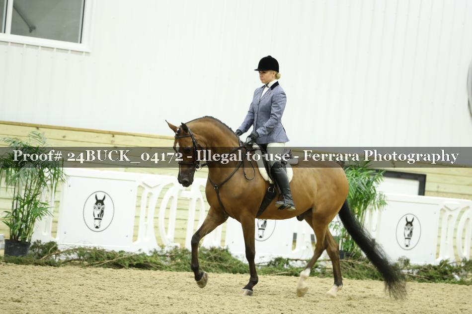 Proof 24BUCK_04172