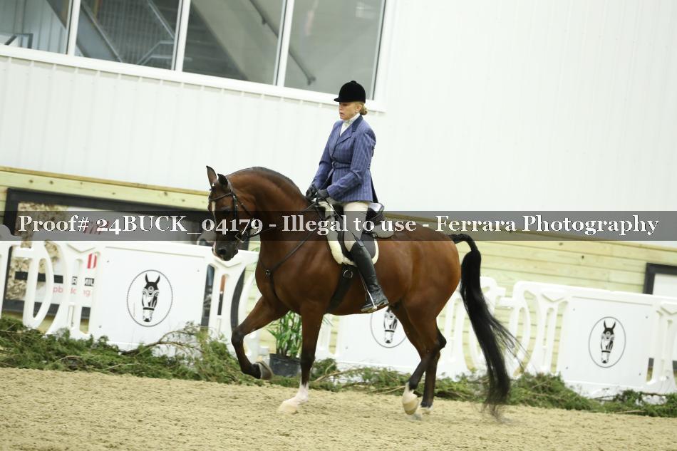 Proof 24BUCK_04179