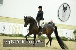 24BUCK_04187 proof