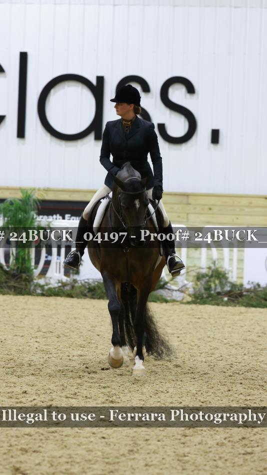 Proof 24BUCK_04197