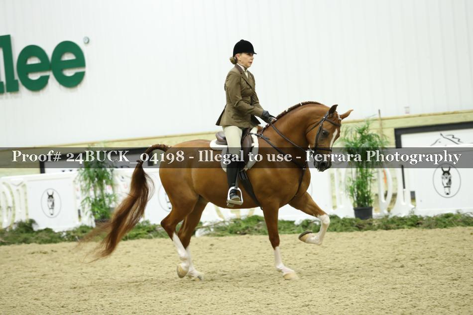 Proof 24BUCK_04198