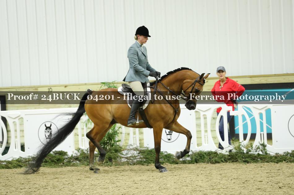Proof 24BUCK_04201
