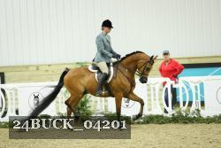 24BUCK_04201 proof