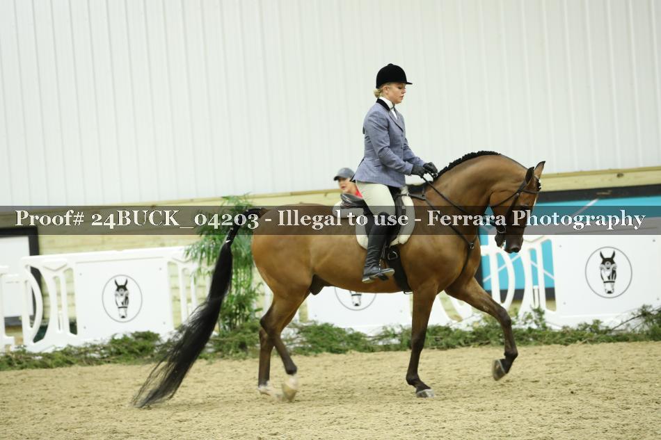 Proof 24BUCK_04203