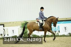 24BUCK_04203 proof