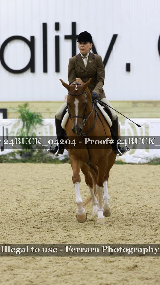 Proof 24BUCK_04204