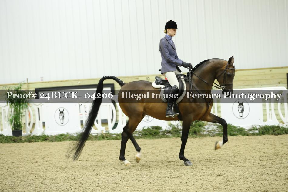 Proof 24BUCK_04206