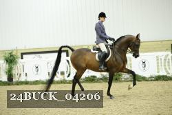 24BUCK_04206 proof