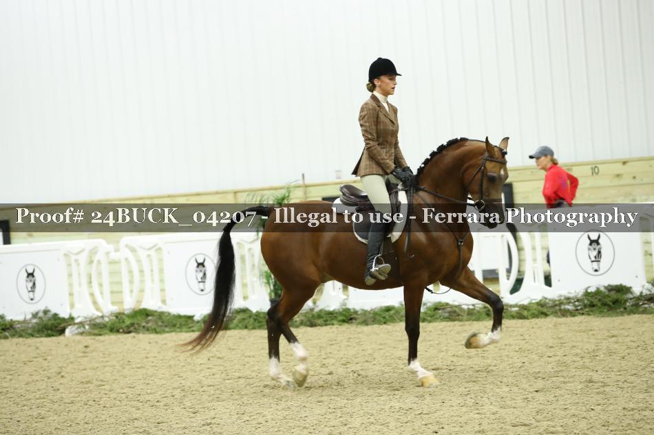 Proof 24BUCK_04207