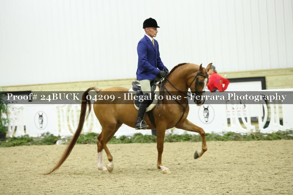 Proof 24BUCK_04209