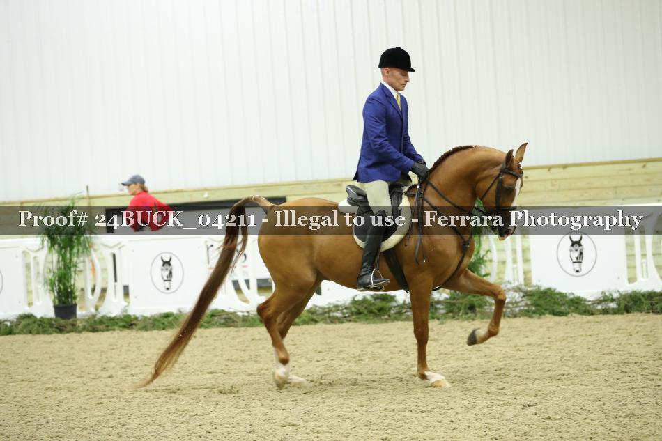 Proof 24BUCK_04211