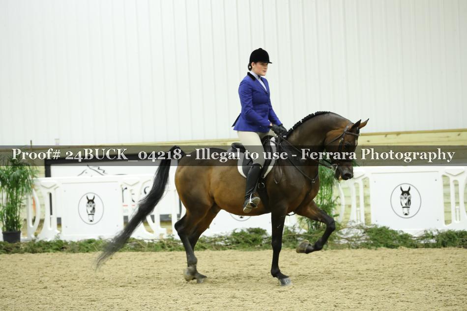 Proof 24BUCK_04218