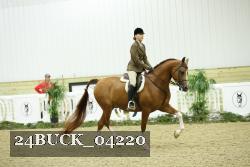 24BUCK_04220 proof