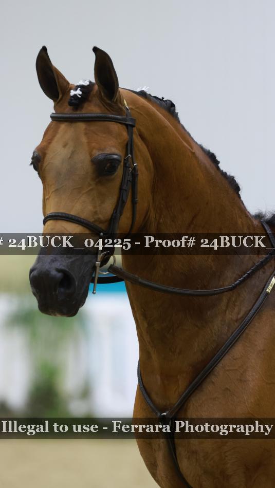 Proof 24BUCK_04225